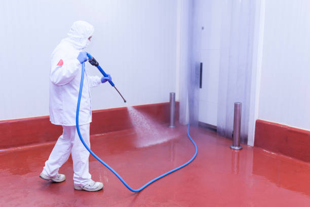 Professional Pressure Washing Services in Airmont, NY
